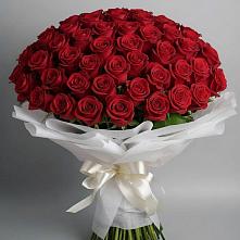 Букет 101 Красная роза Блэк Мэджик в Вырице