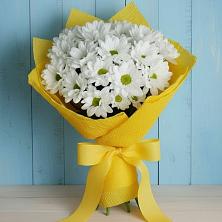Букет цветов из:  Хризантемы в Вырице
