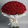 Букет 101 Красная роза Блэк Мэджик в Вырице