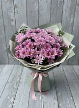 Букет цветов из:  Хризантемы в Вырице
