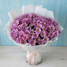Букет цветов из:  Хризантемы в Вырице