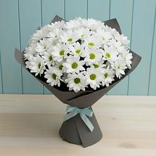Букет цветов из:  Хризантемы в Вырице