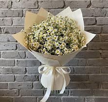 Букет цветов из:  Ромашки в Вырице