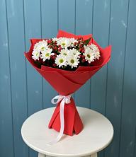 Букет цветов из:  Хризантемы в Вырице