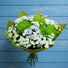 Букет цветов из:  Хризантемы в Вырице