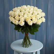 Букет 51 Белая роза Эдлесс Лав #REPLACE_PRED# Вырице