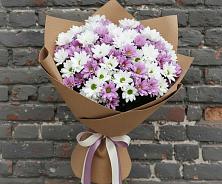 Букет цветов из:  Хризантемы в Вырице