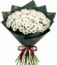 Букет цветов из:  Хризантемы в Вырице