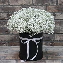 Цветочная композиция из Гипсофила в шляпной коробке в Вырице