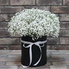 Цветочная композиция из Гипсофила в шляпной коробке в Вырице