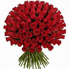 Букет Красные розы Чери Лав #REPLACE_PRED# Вырице